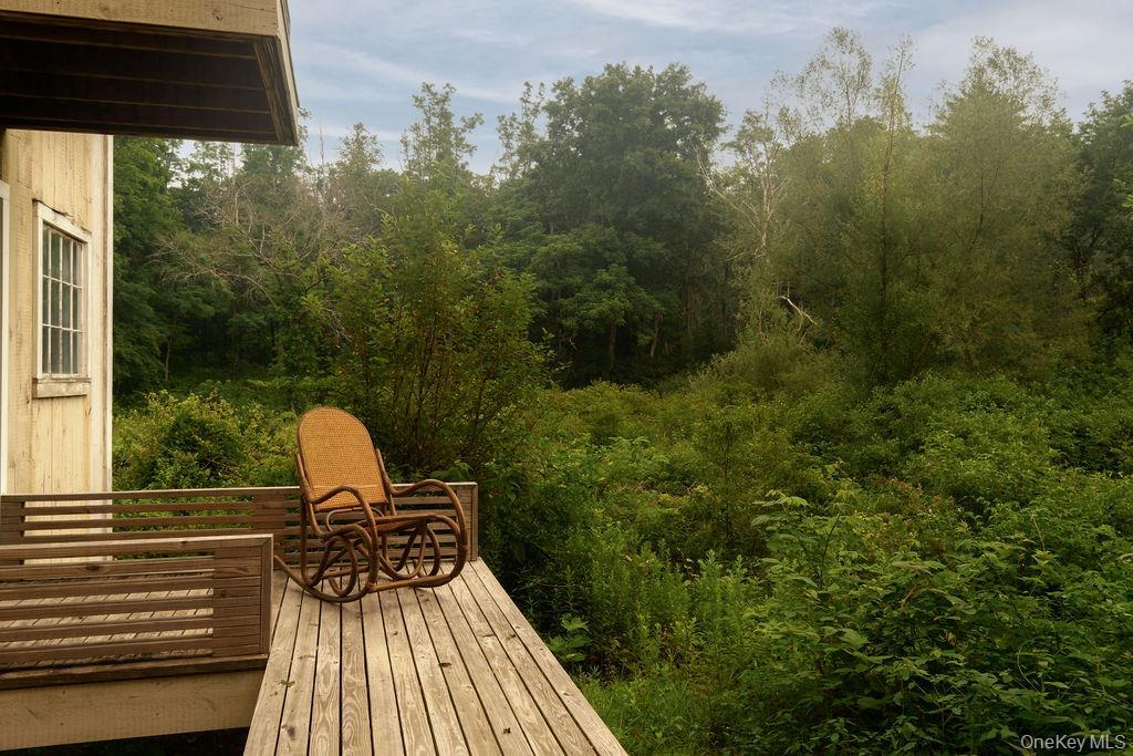 Single Family Route 82  Dutchess County, NY 12578, MLS-1030151-44