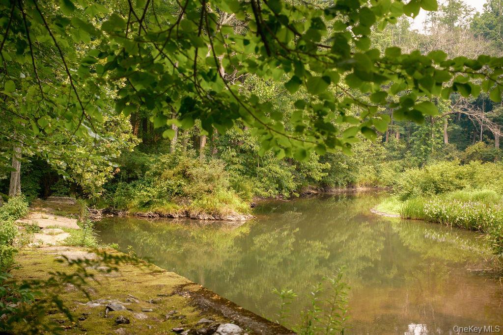 Single Family Route 82  Dutchess County, NY 12578, MLS-1030151-47