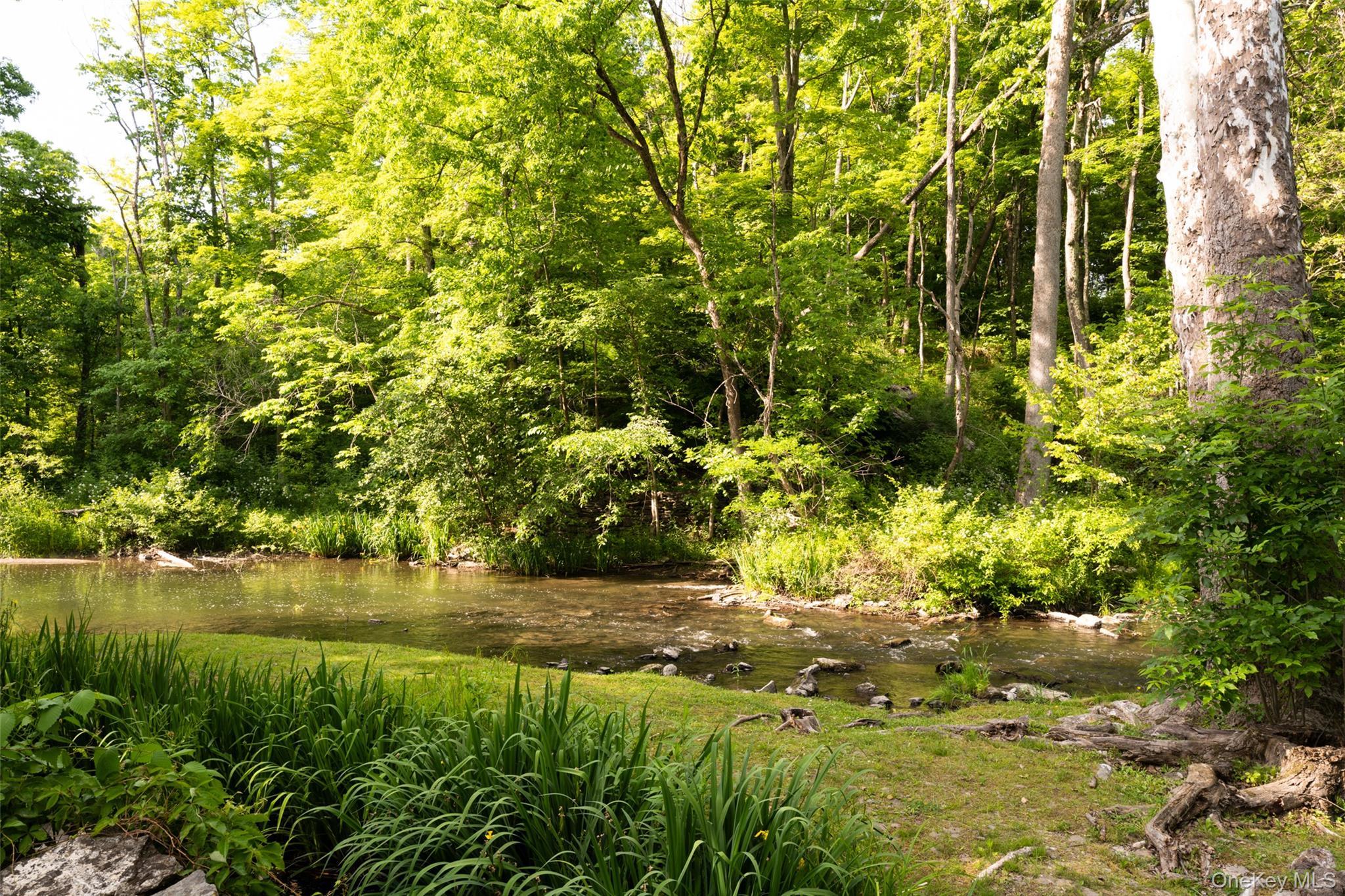Single Family Route 82  Dutchess County, NY 12578, MLS-1030151-5