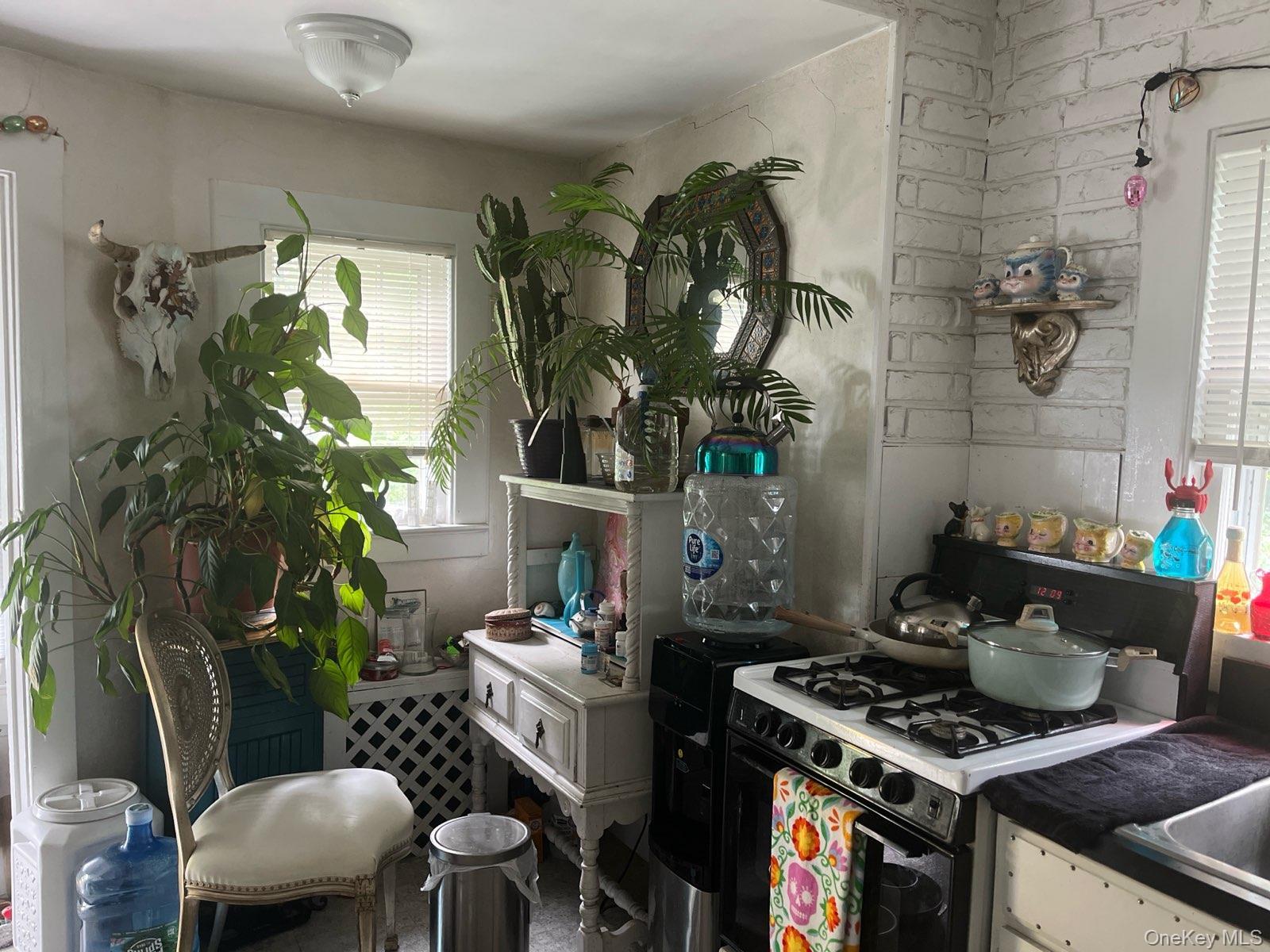 Single Family Marion Place Nassau County, NY 11510, MLS-1030174-4