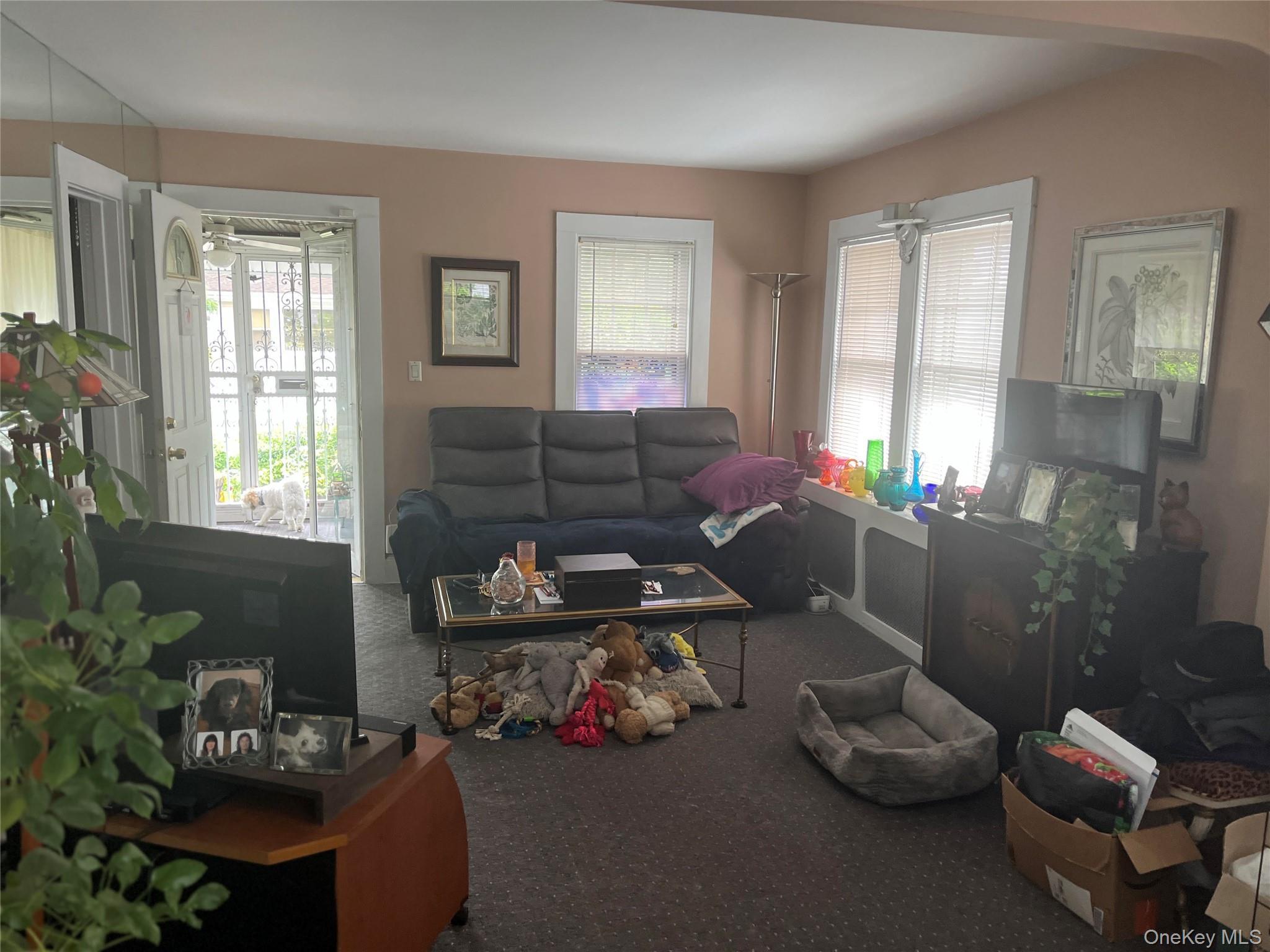 Single Family Marion Place Nassau County, NY 11510, MLS-1030174-5
