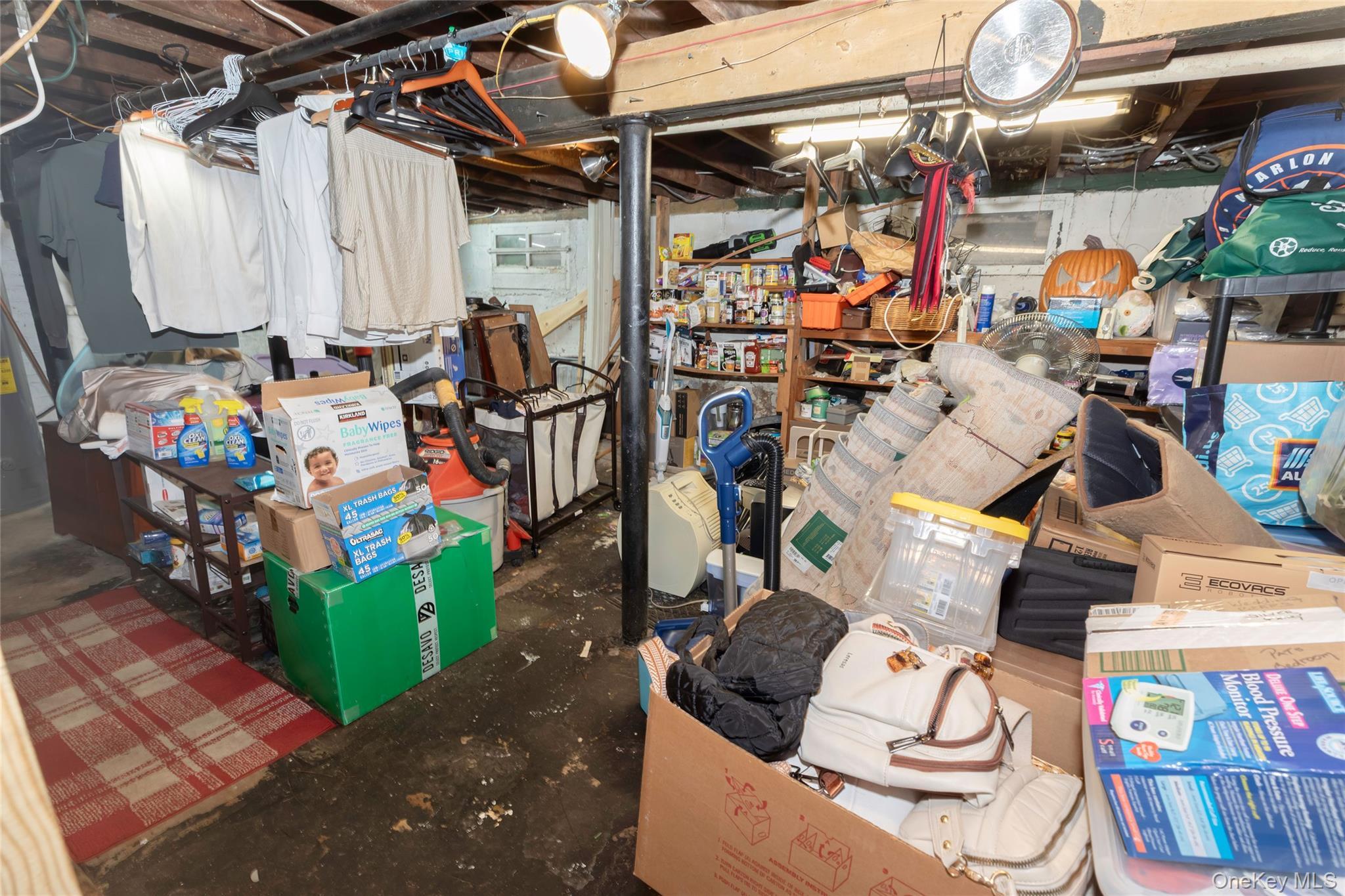 Single Family Hobart Avenue Bronx, NY 10461, MLS-1030200-25