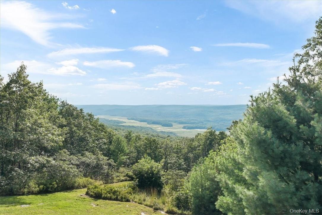 Single Family Treetops Trail  Sullivan County, NY 12721, MLS-1030262-23