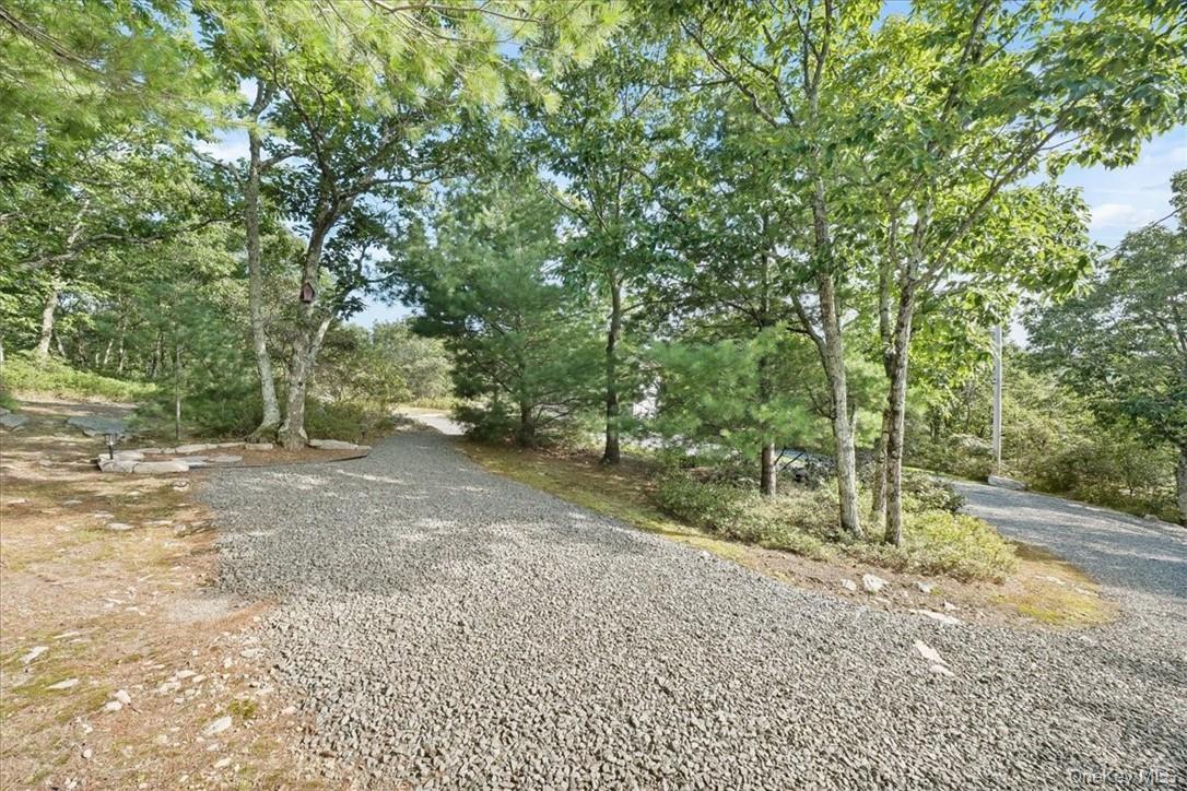 Single Family Treetops Trail  Sullivan County, NY 12721, MLS-1030262-25