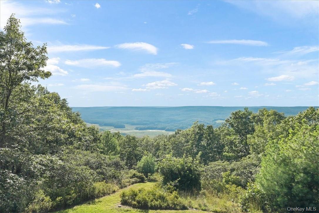 Single Family Treetops Trail  Sullivan County, NY 12721, MLS-1030262-29