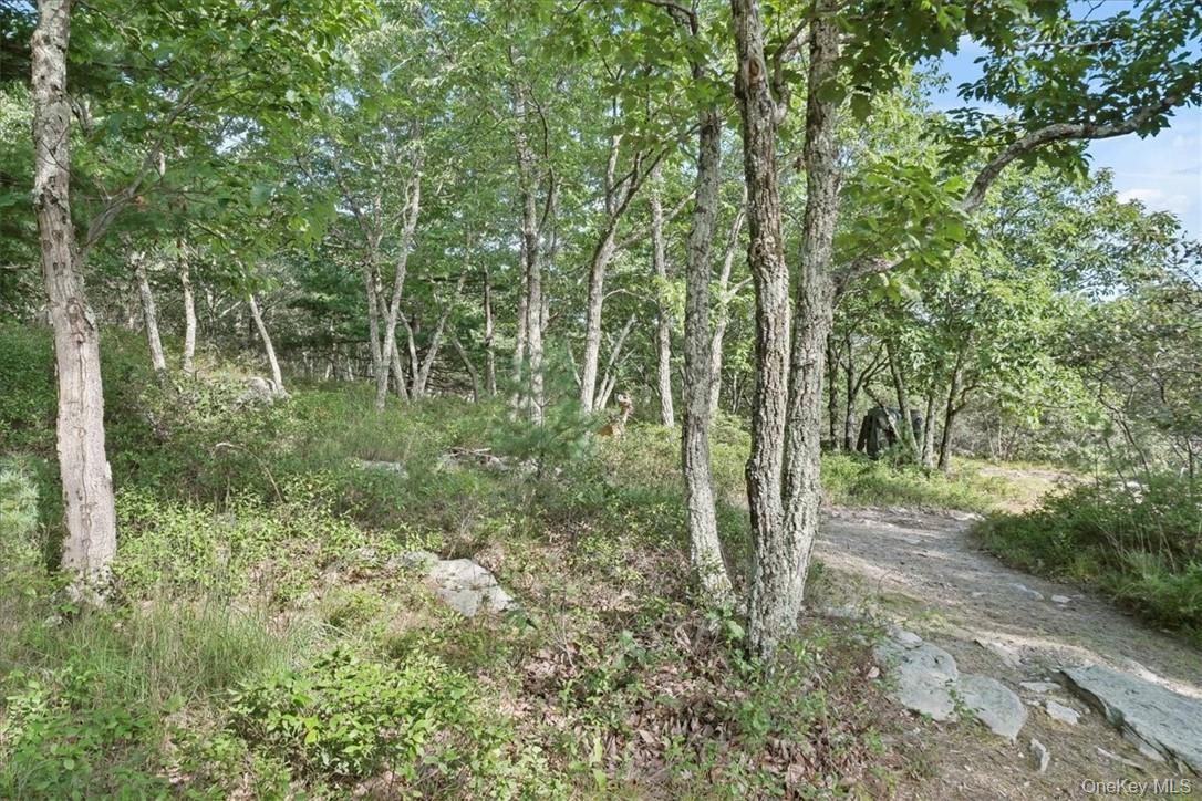 Single Family Treetops Trail  Sullivan County, NY 12721, MLS-1030262-31