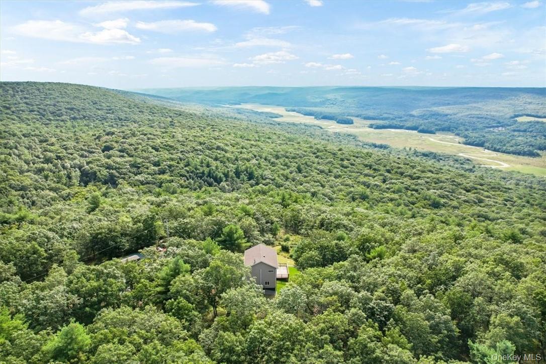 Single Family Treetops Trail  Sullivan County, NY 12721, MLS-1030262-33