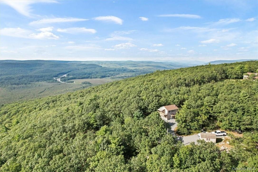 Single Family Treetops Trail  Sullivan County, NY 12721, MLS-1030262-34
