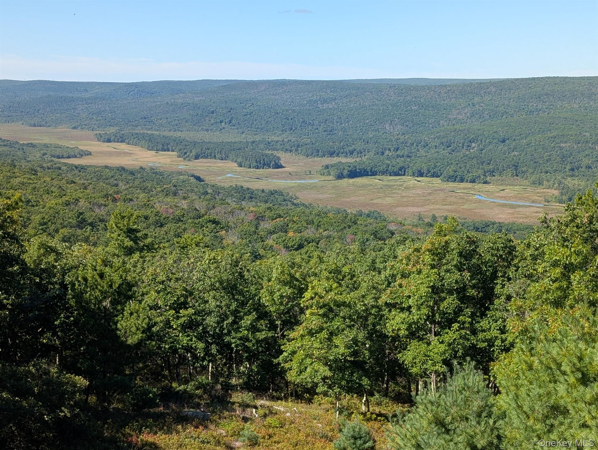 Single Family Treetops Trail  Sullivan County, NY 12721, MLS-1030262-35