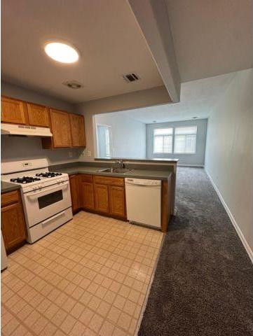 WebID:  1030281