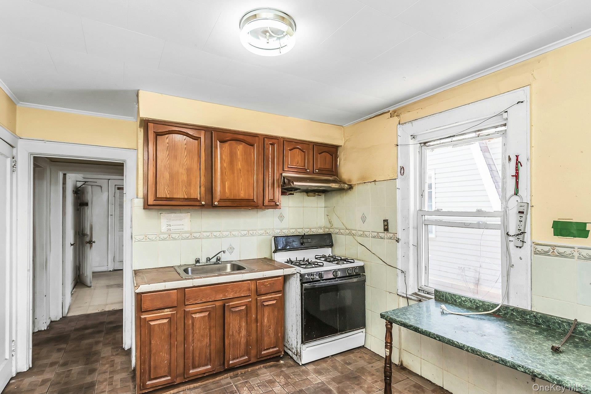 Single Family 37th Drive Queens, NY 11368, MLS-1030364-23