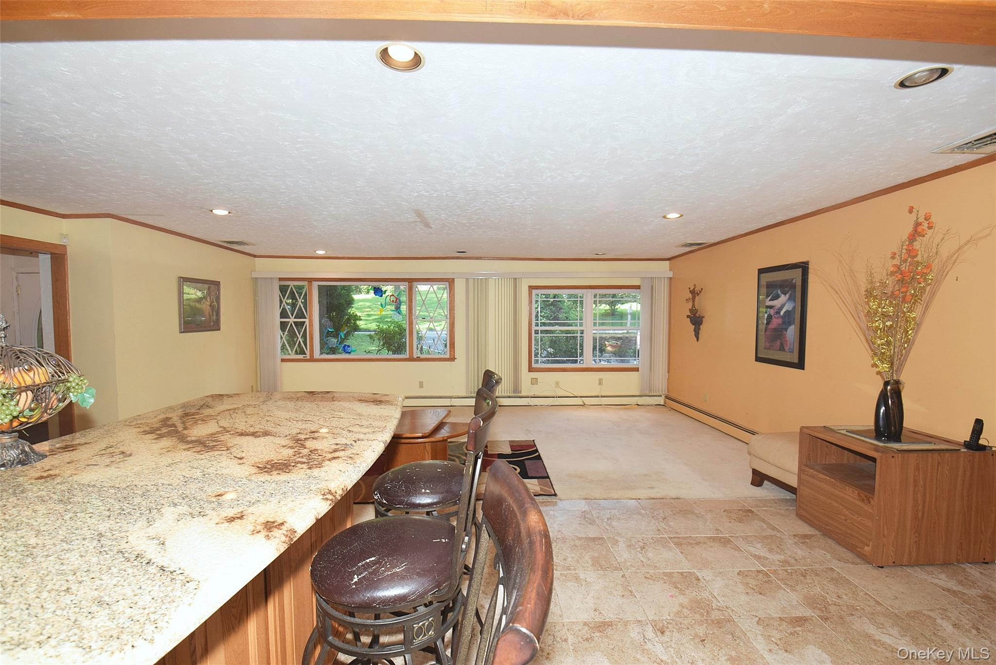 Single Family Ivy Hill Drive  Suffolk County, NY 11787, MLS-1030391-3