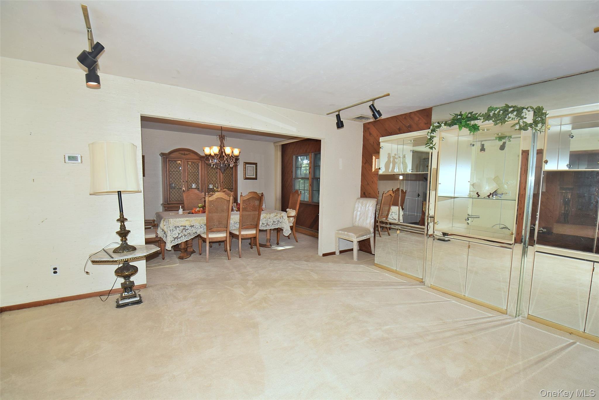 Single Family Ivy Hill Drive  Suffolk County, NY 11787, MLS-1030391-8