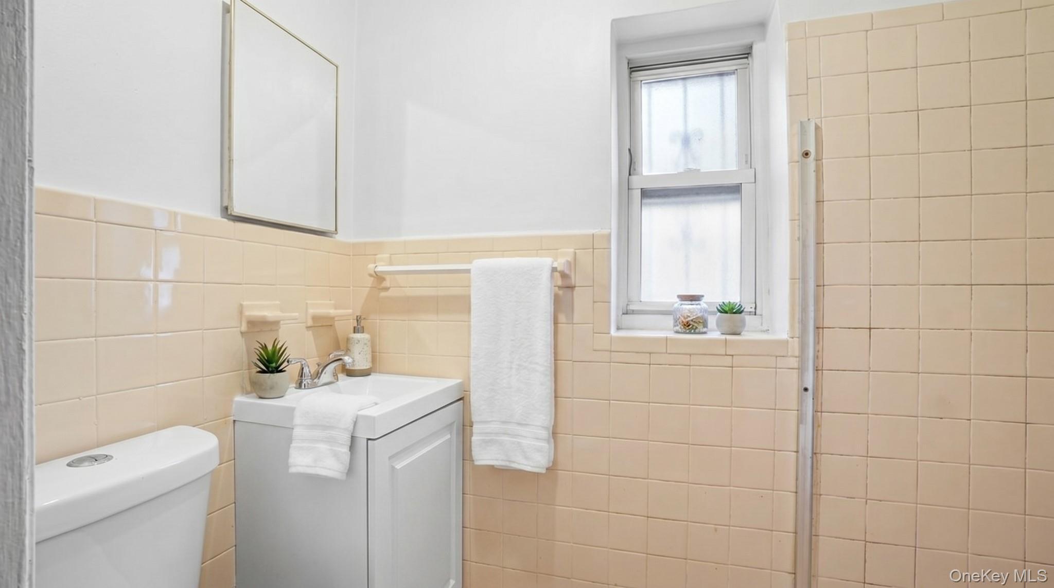 Single Family Seymour Avenue Bronx, NY 10469, MLS-1030405-38