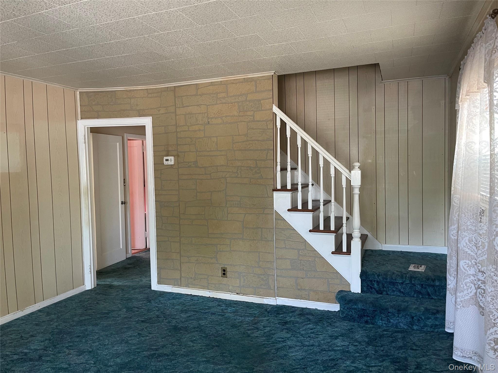 Single Family 221st Place Queens, NY 11427, MLS-1030411-9