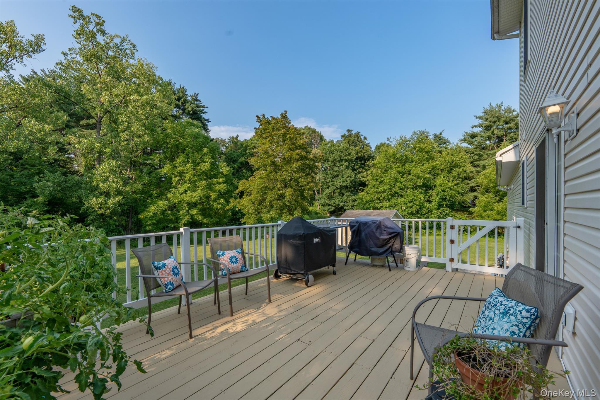 Single Family Rogers Street Ulster County, NY 12487, MLS-1030460-43