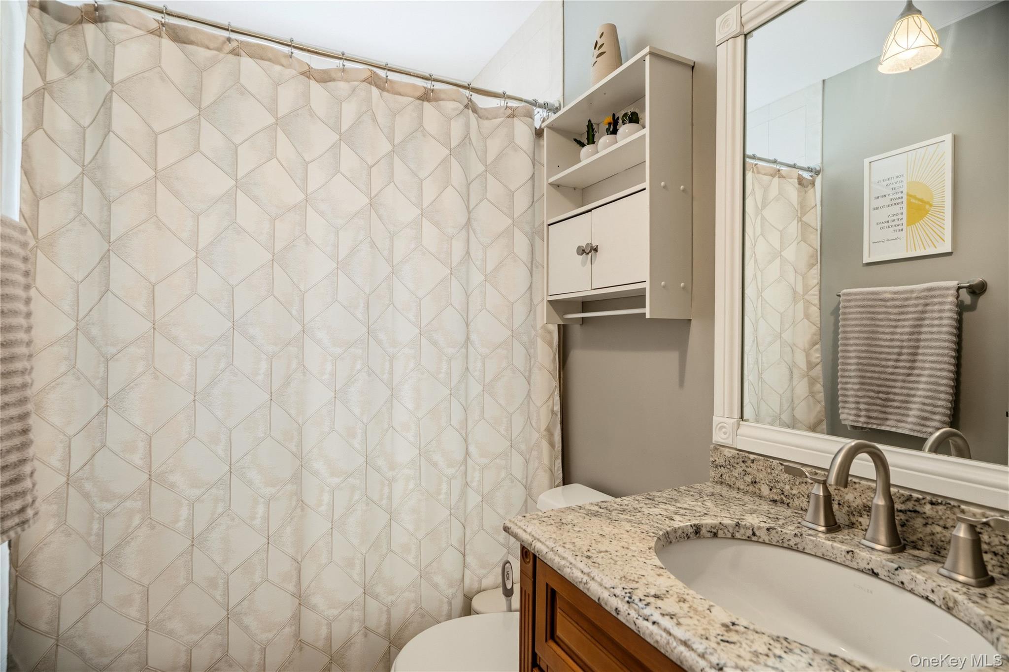 Single Family Richmond Boulevard Suffolk County, NY 11779, MLS-1030469-16