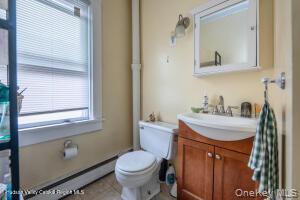 Single Family Pine Grove Avenue  Ulster County, NY 12401, MLS-1030492-18
