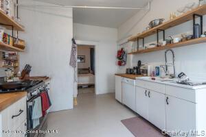Single Family Pine Grove Avenue  Ulster County, NY 12401, MLS-1030492-30
