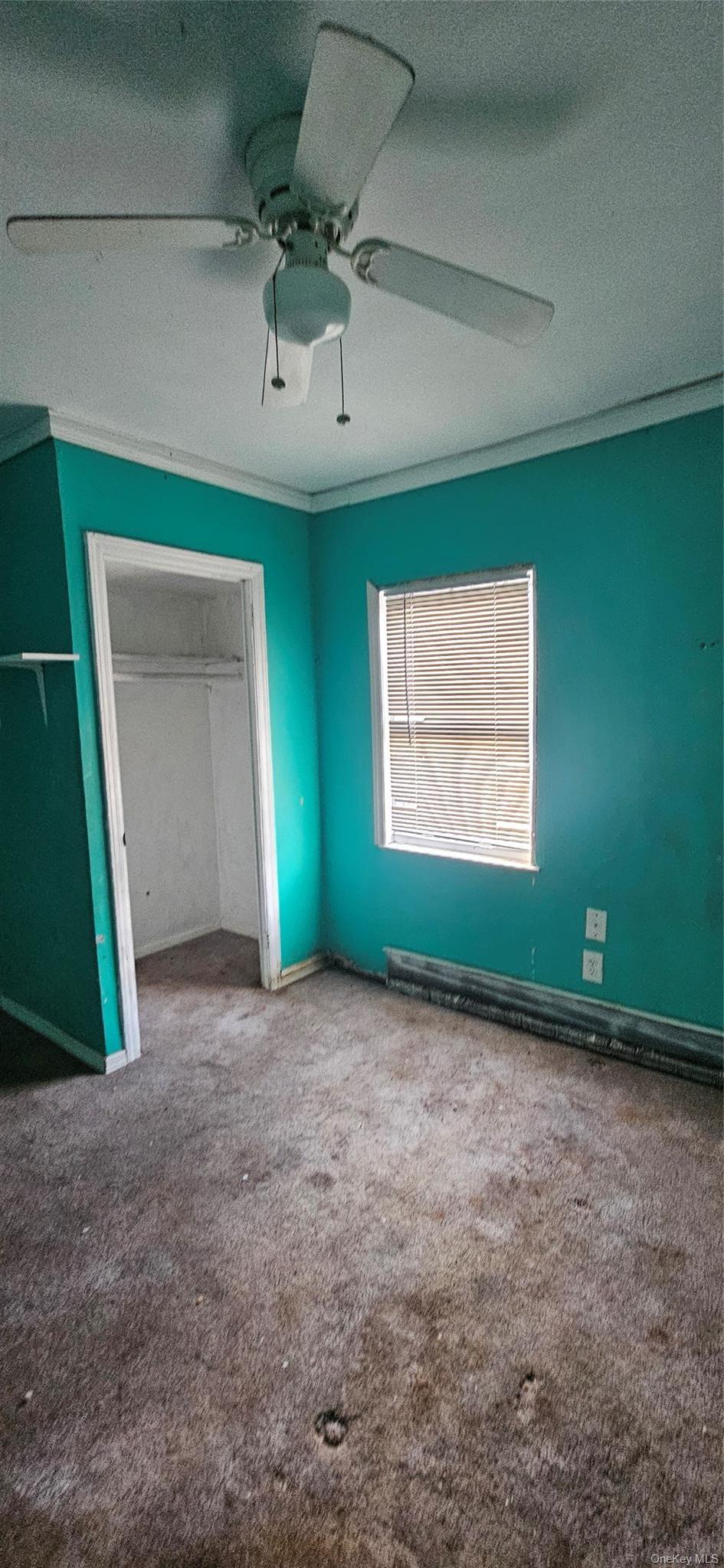 Single Family Hansen Street Suffolk County, NY 11706, MLS-1030527-4