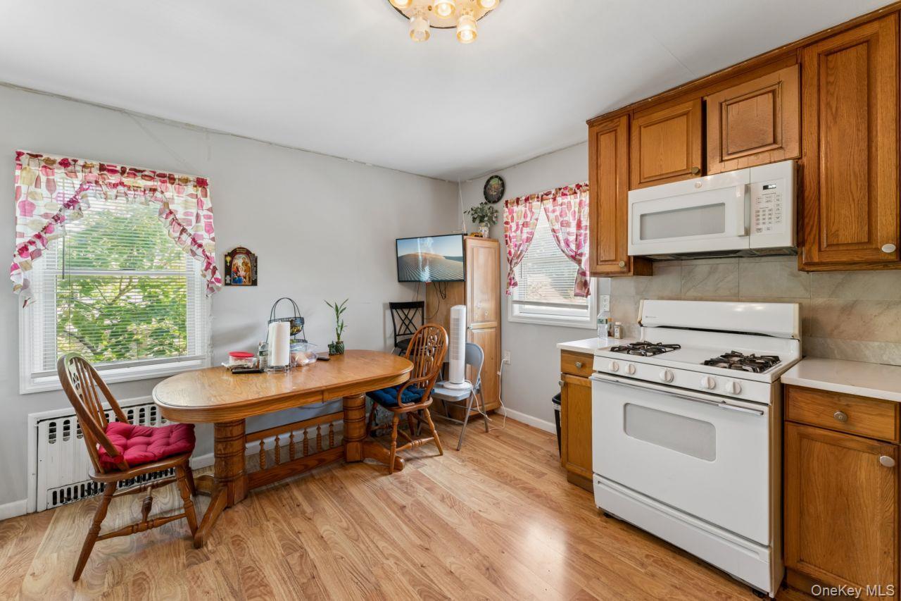 Single Family Forest Avenue Nassau County, NY 11581, MLS-1030562-11
