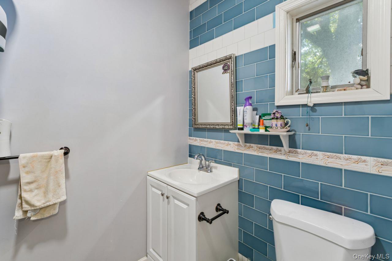 Single Family Forest Avenue Nassau County, NY 11581, MLS-1030562-21