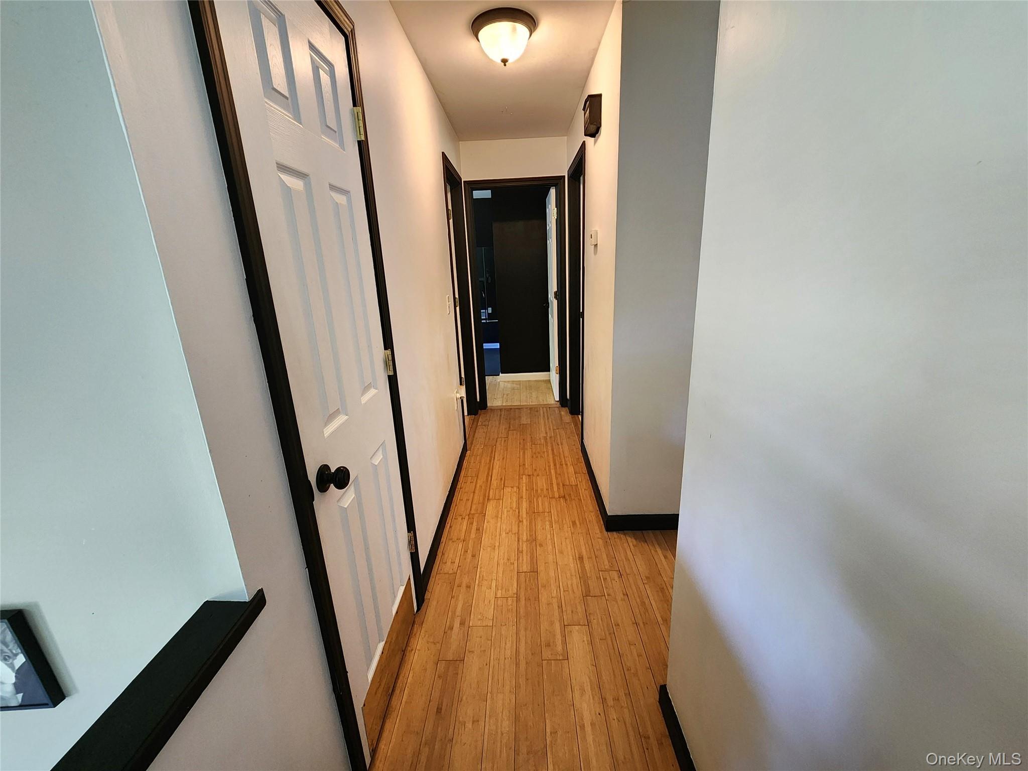 Single Family Marion Boulevard Columbia County, NY 12184, MLS-1030625-12