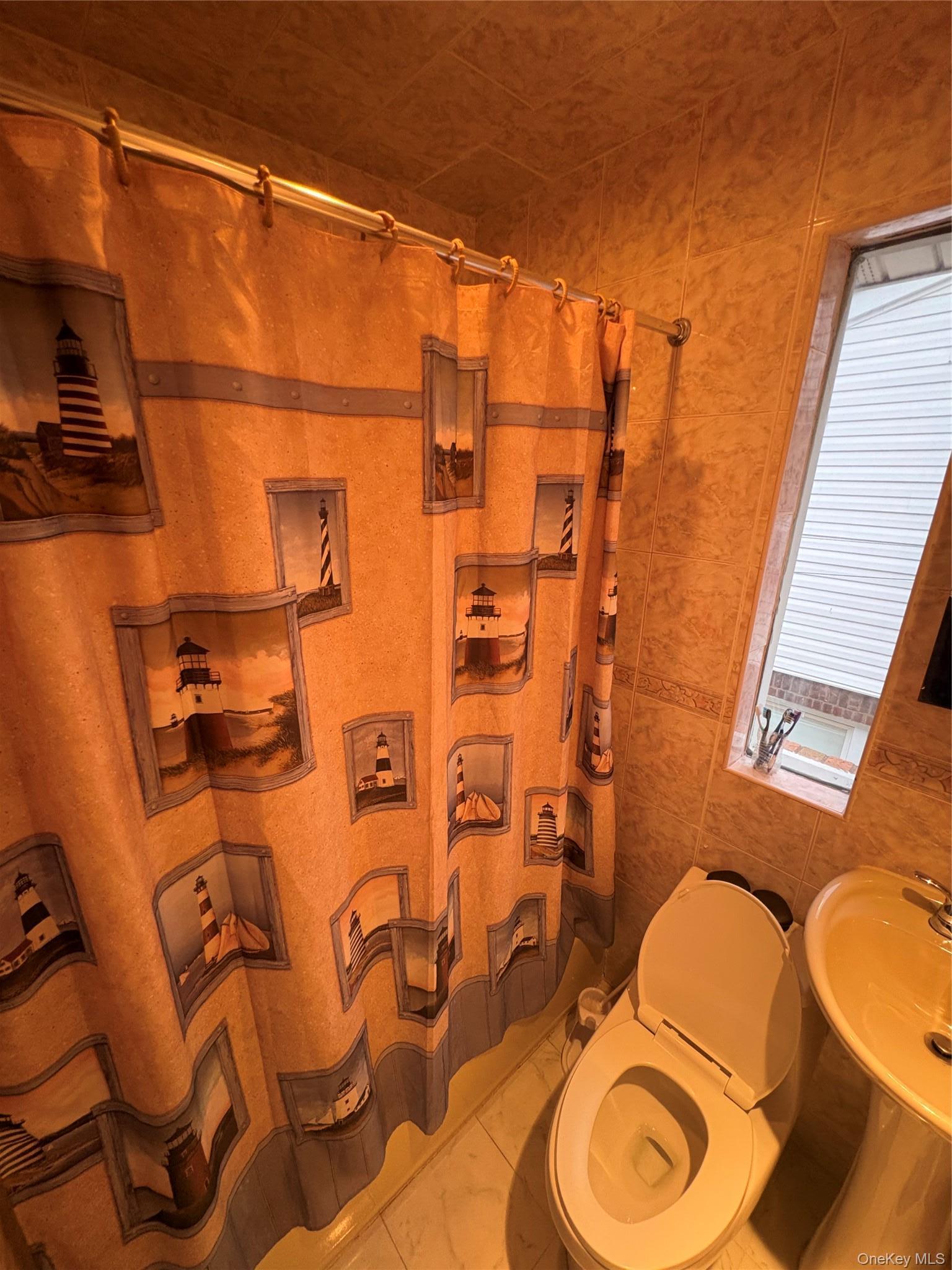 Single Family Marlowe Road  Nassau County, NY 11580, MLS-1030645-21