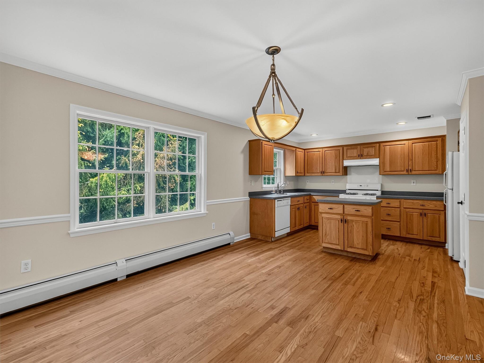 Single Family East Place Orange County, NY 10987, MLS-1030684-11