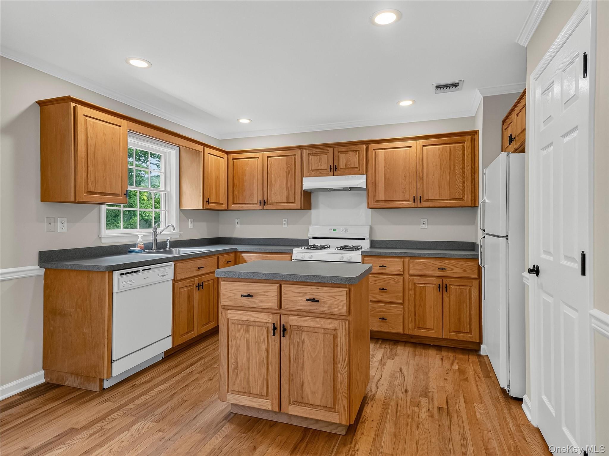Single Family East Place Orange County, NY 10987, MLS-1030684-13