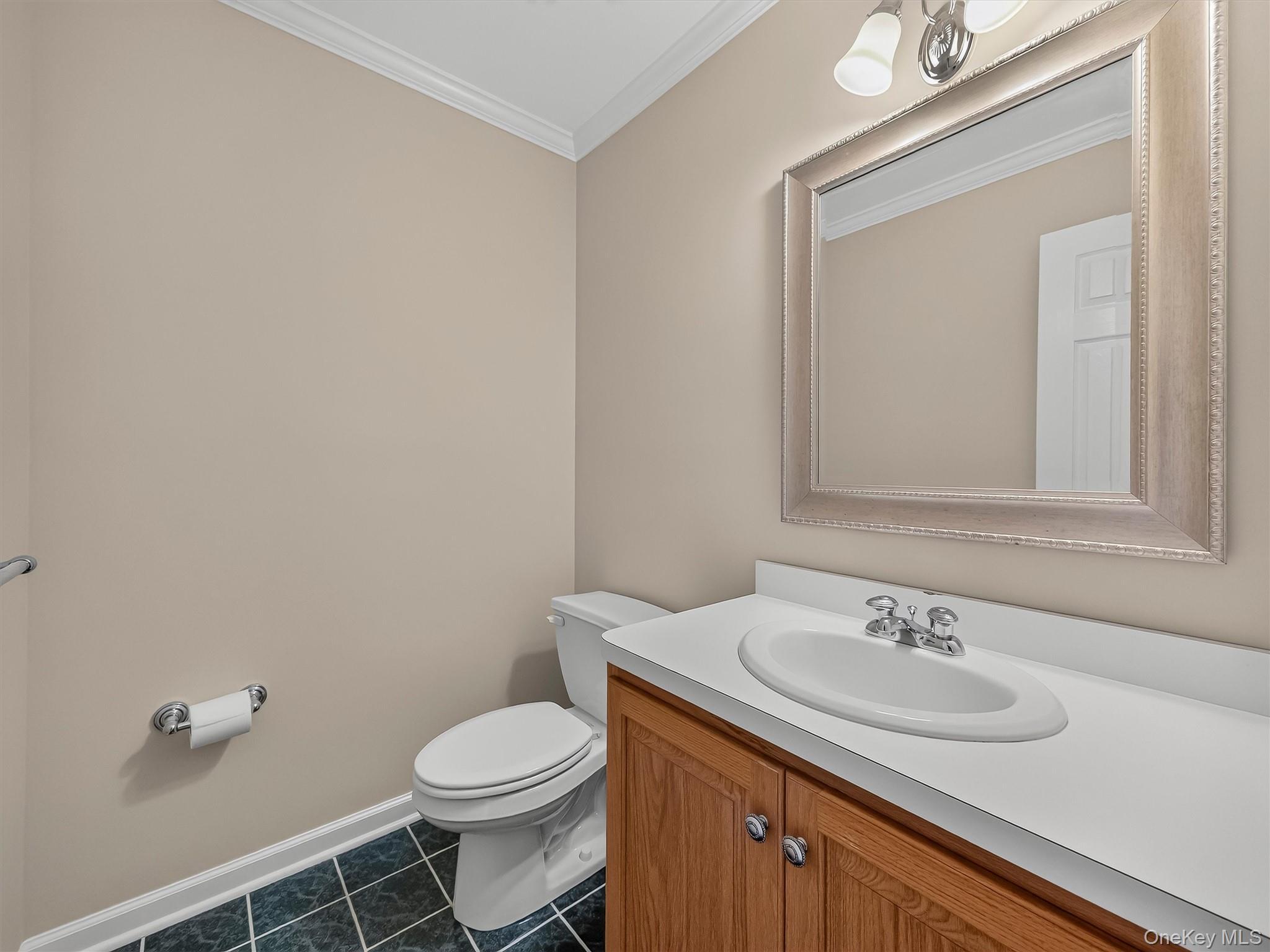 Single Family East Place Orange County, NY 10987, MLS-1030684-17