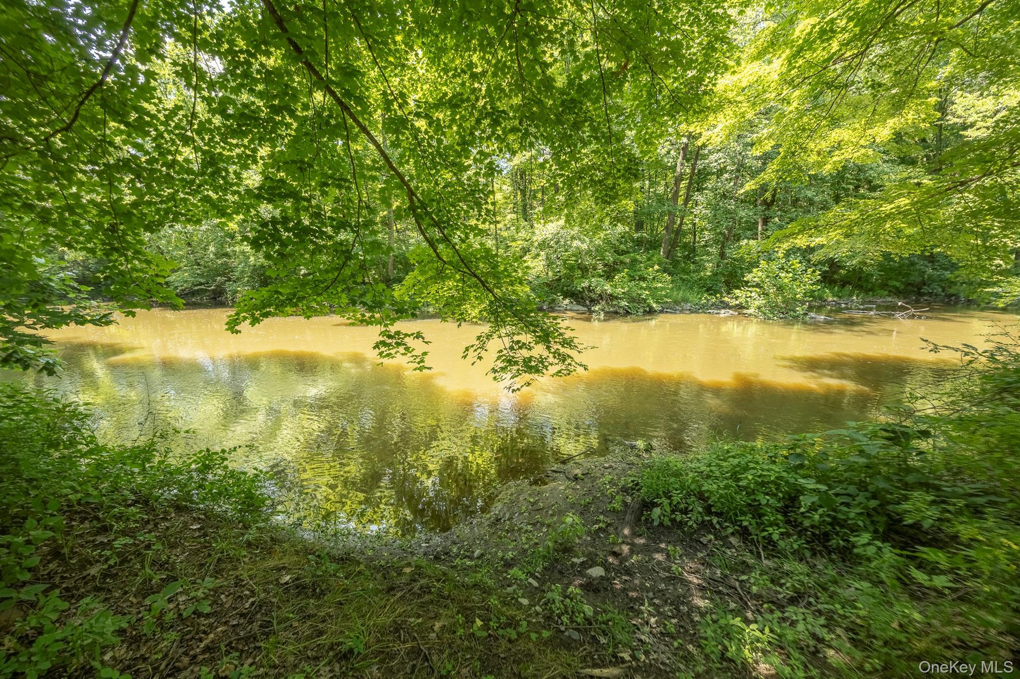 Single Family Creekside Place  Dutchess County, NY 12569, MLS-1030685-11