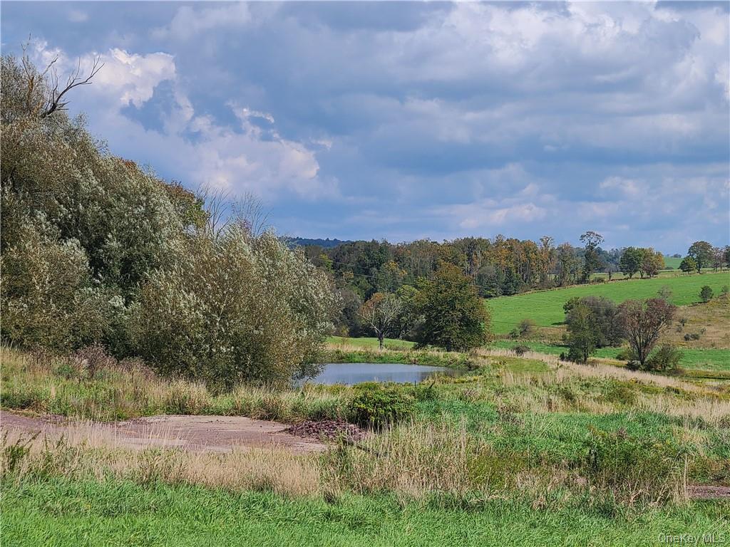 Single Family Long Farm Way Sullivan County, NY 12723, MLS-1030710-25