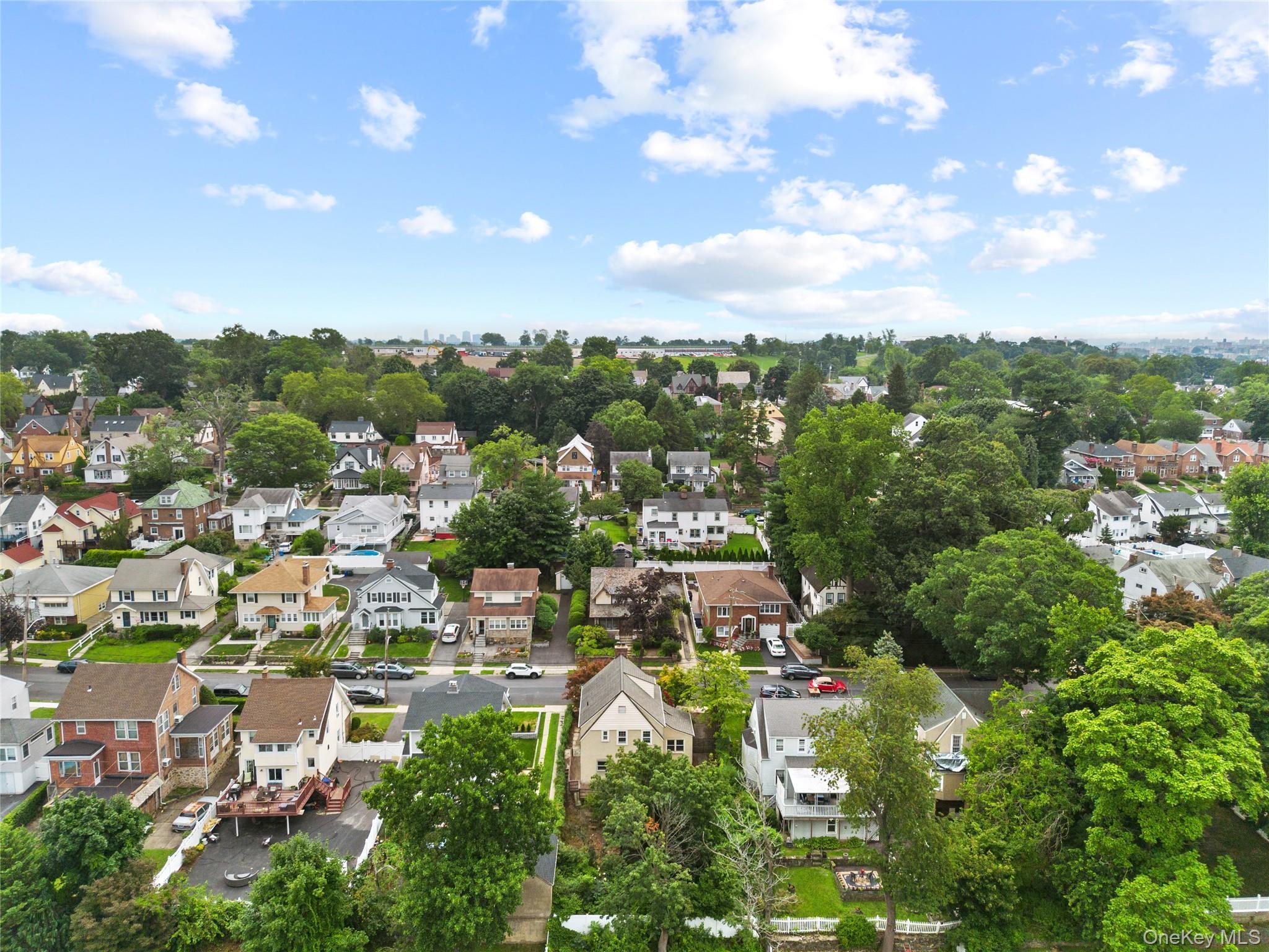 Single Family Lee Avenue  Westchester County, NY 10705, MLS-1030723-31