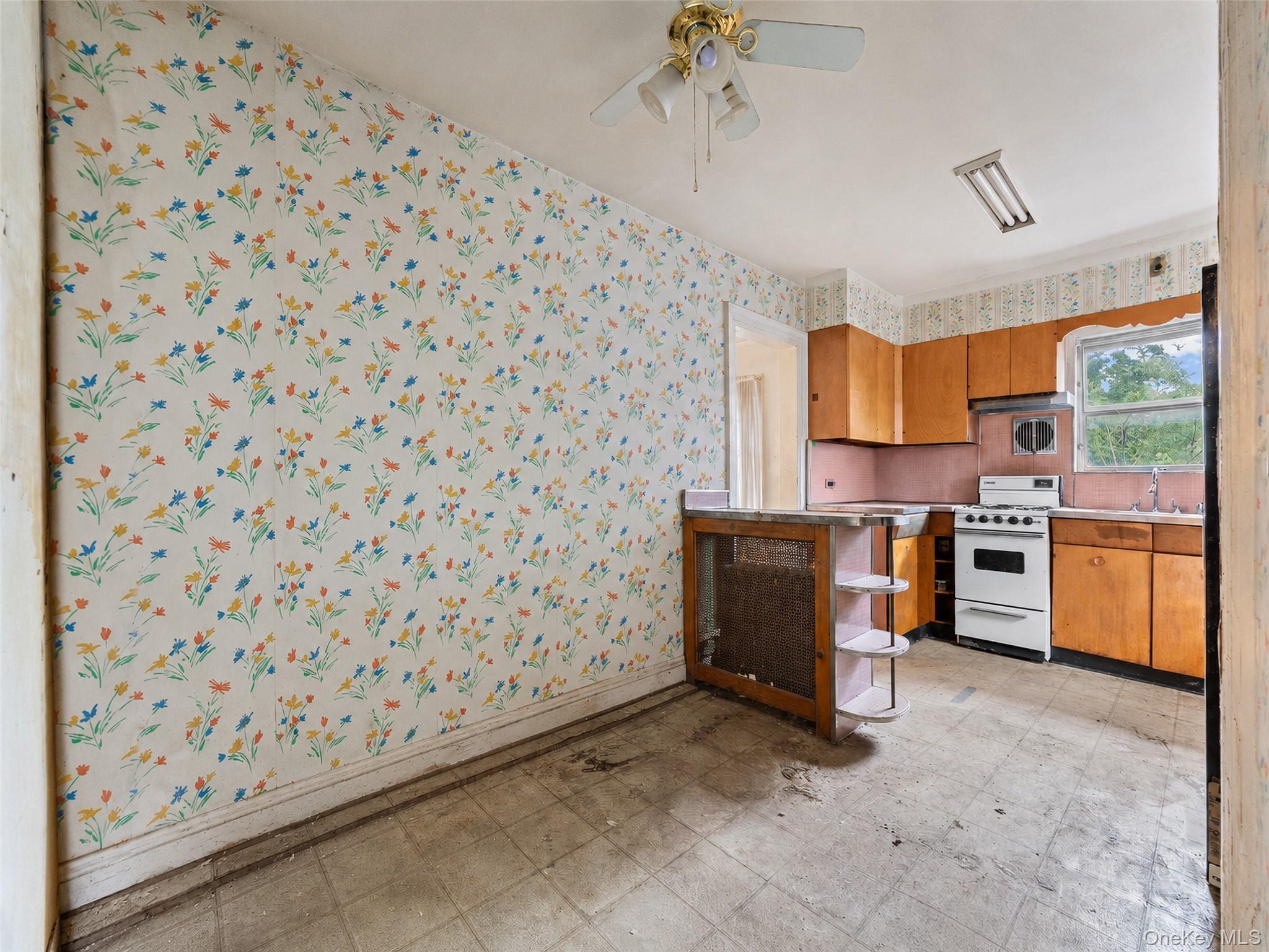 Single Family Lee Avenue  Westchester County, NY 10705, MLS-1030723-9