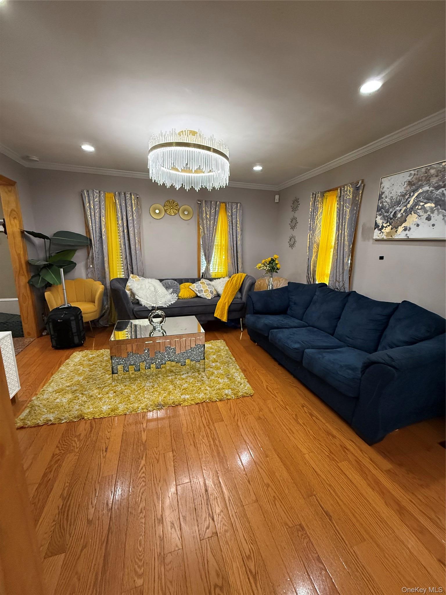 Single Family Franklin Street Nassau County, NY 11010, MLS-1030741-2