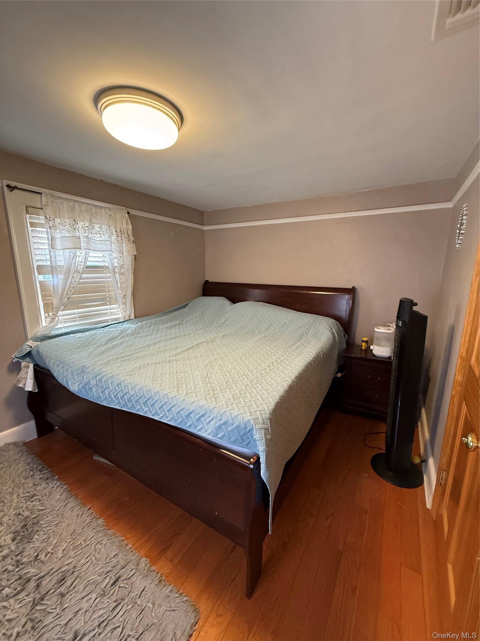 Single Family Franklin Street Nassau County, NY 11010, MLS-1030741-20