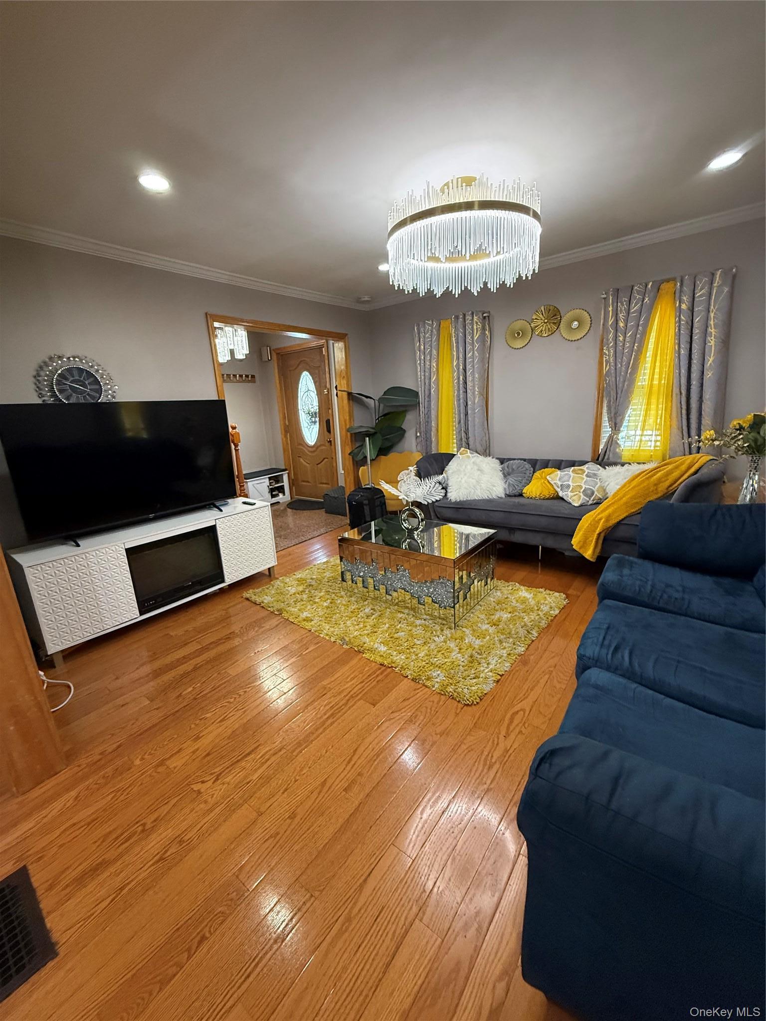 Single Family Franklin Street Nassau County, NY 11010, MLS-1030741-3