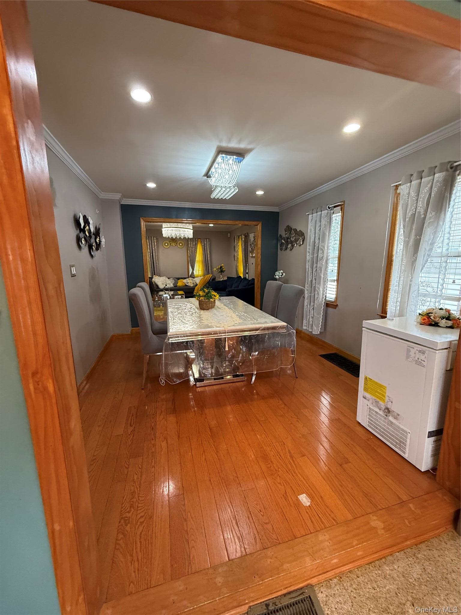 Single Family Franklin Street Nassau County, NY 11010, MLS-1030741-8