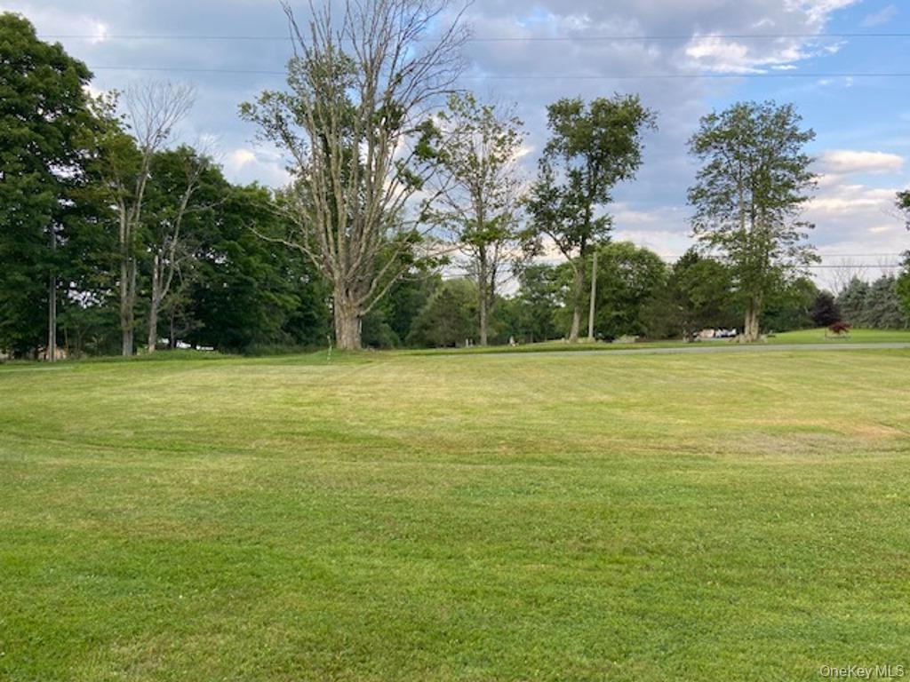 Single Family Happy Avenue Sullivan County, NY 12783, MLS-1030753-3
