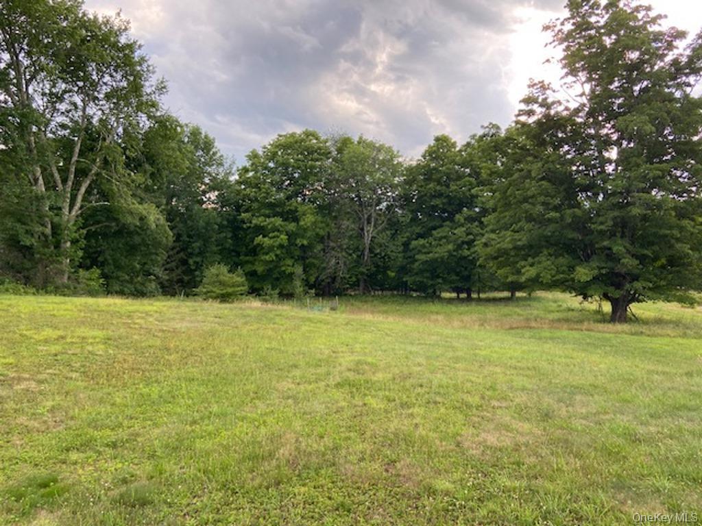 Single Family Happy Avenue Sullivan County, NY 12783, MLS-1030753-30
