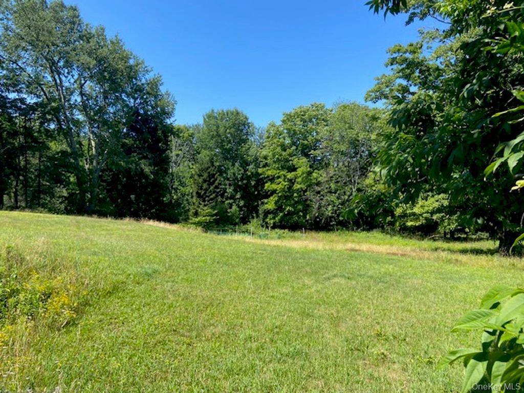 Single Family Happy Avenue Sullivan County, NY 12783, MLS-1030753-31