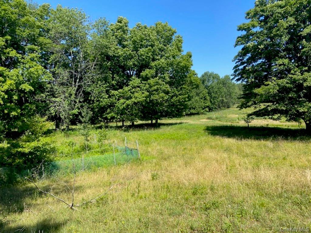 Single Family Happy Avenue Sullivan County, NY 12783, MLS-1030753-33
