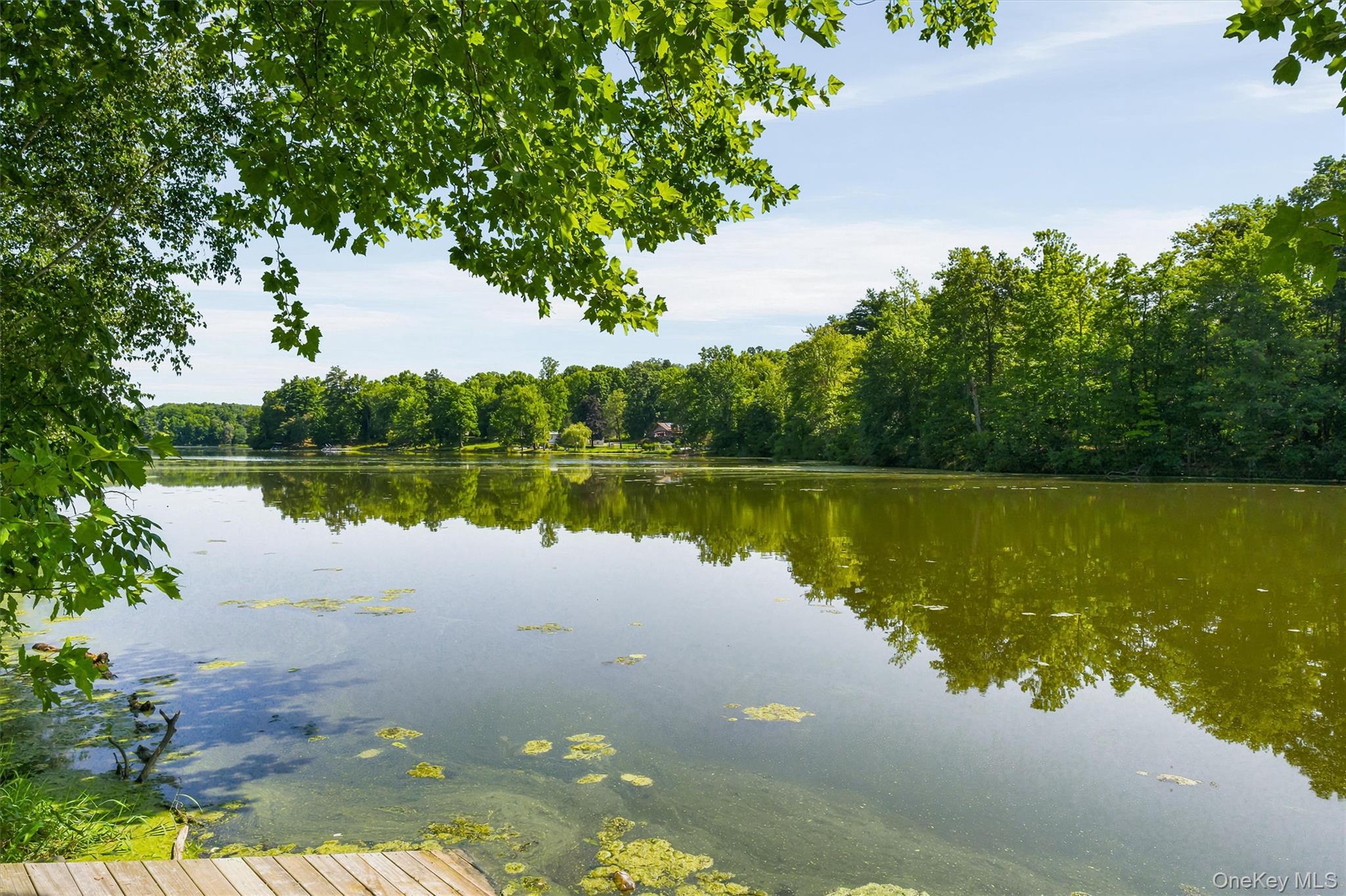 Single Family Lake Road Orange County, NY 12577, MLS-1030769-37