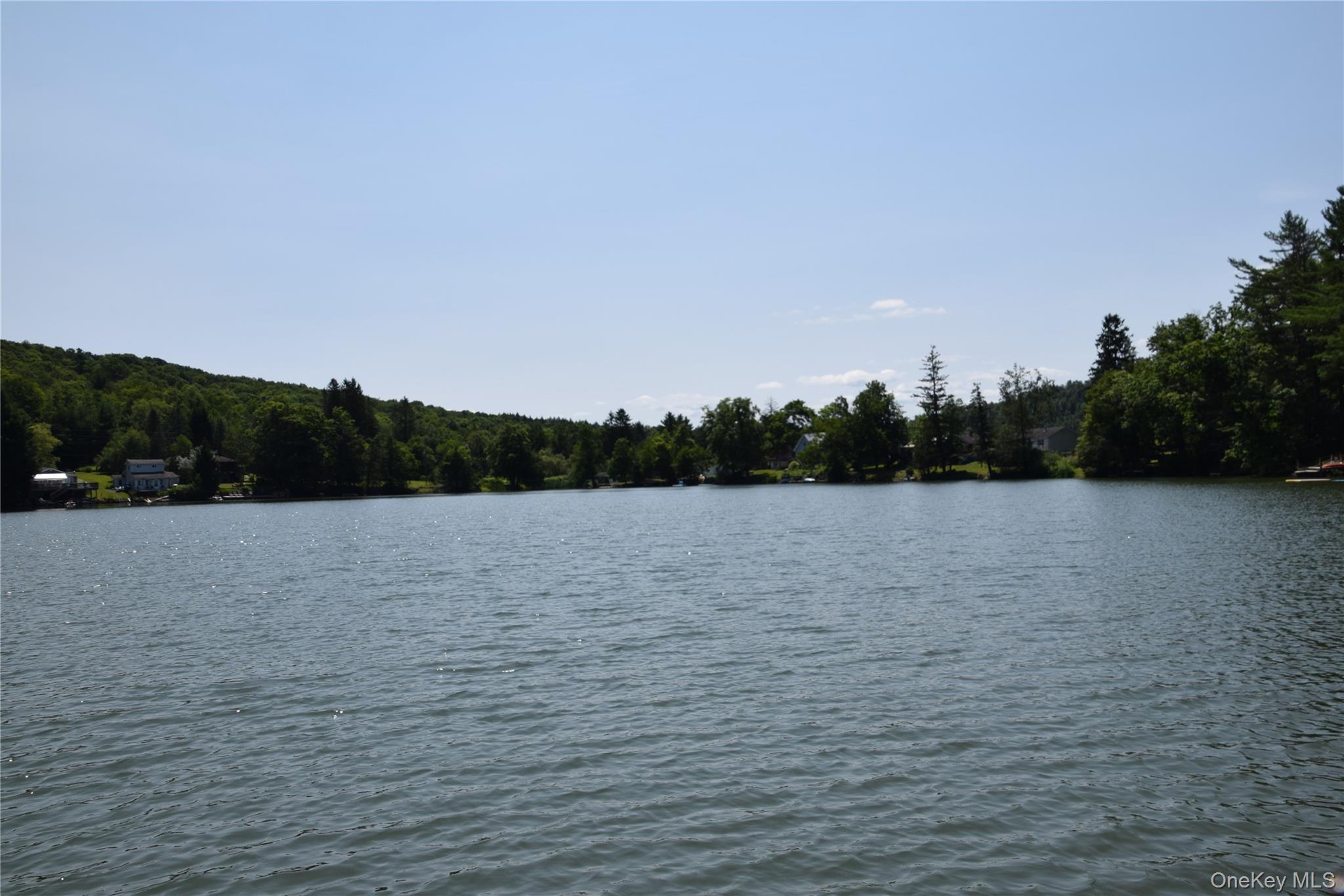 Single Family West Shore Drive Delaware County, NY 13754, MLS-1030776-30
