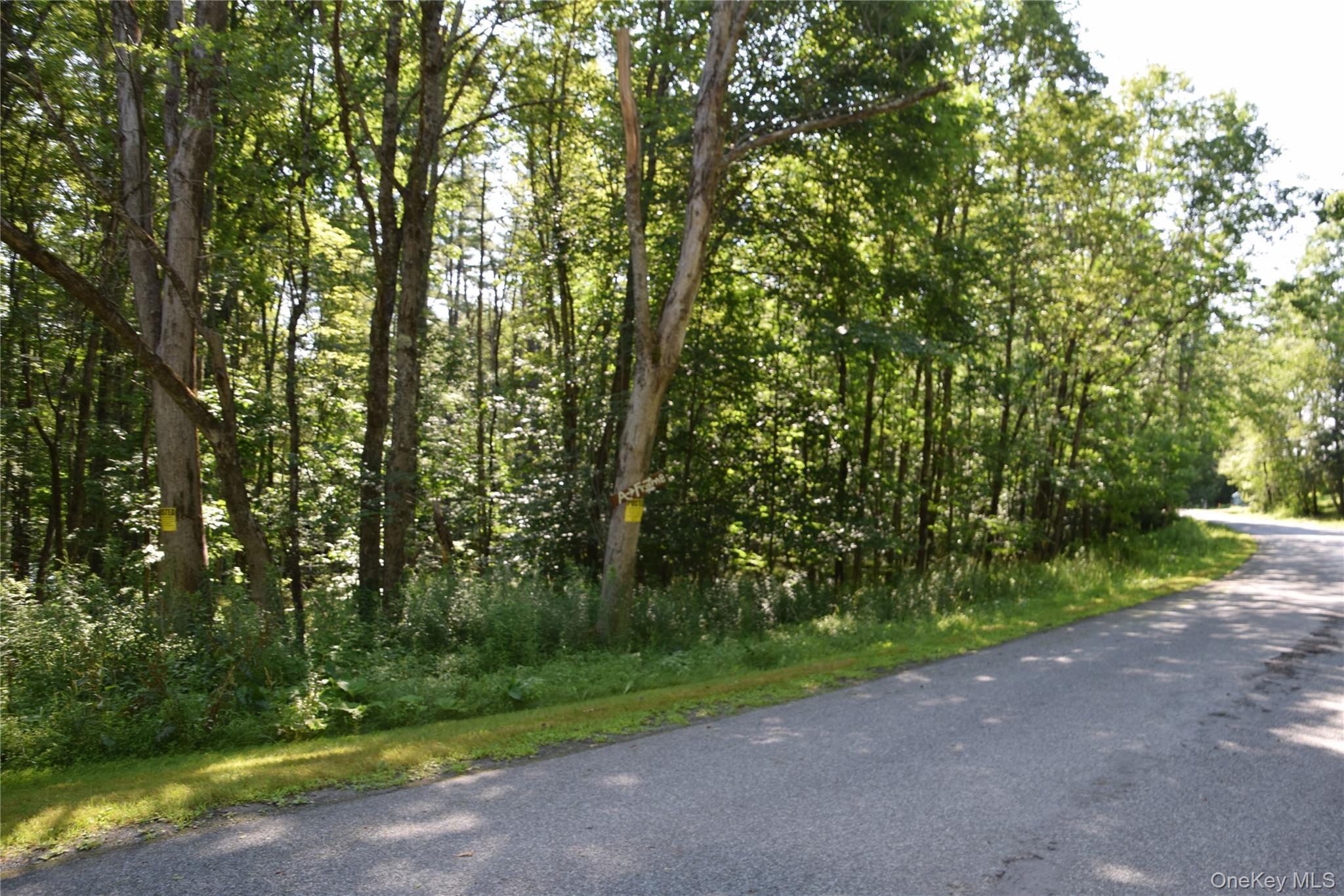 Single Family West Shore Drive Delaware County, NY 13754, MLS-1030776-38