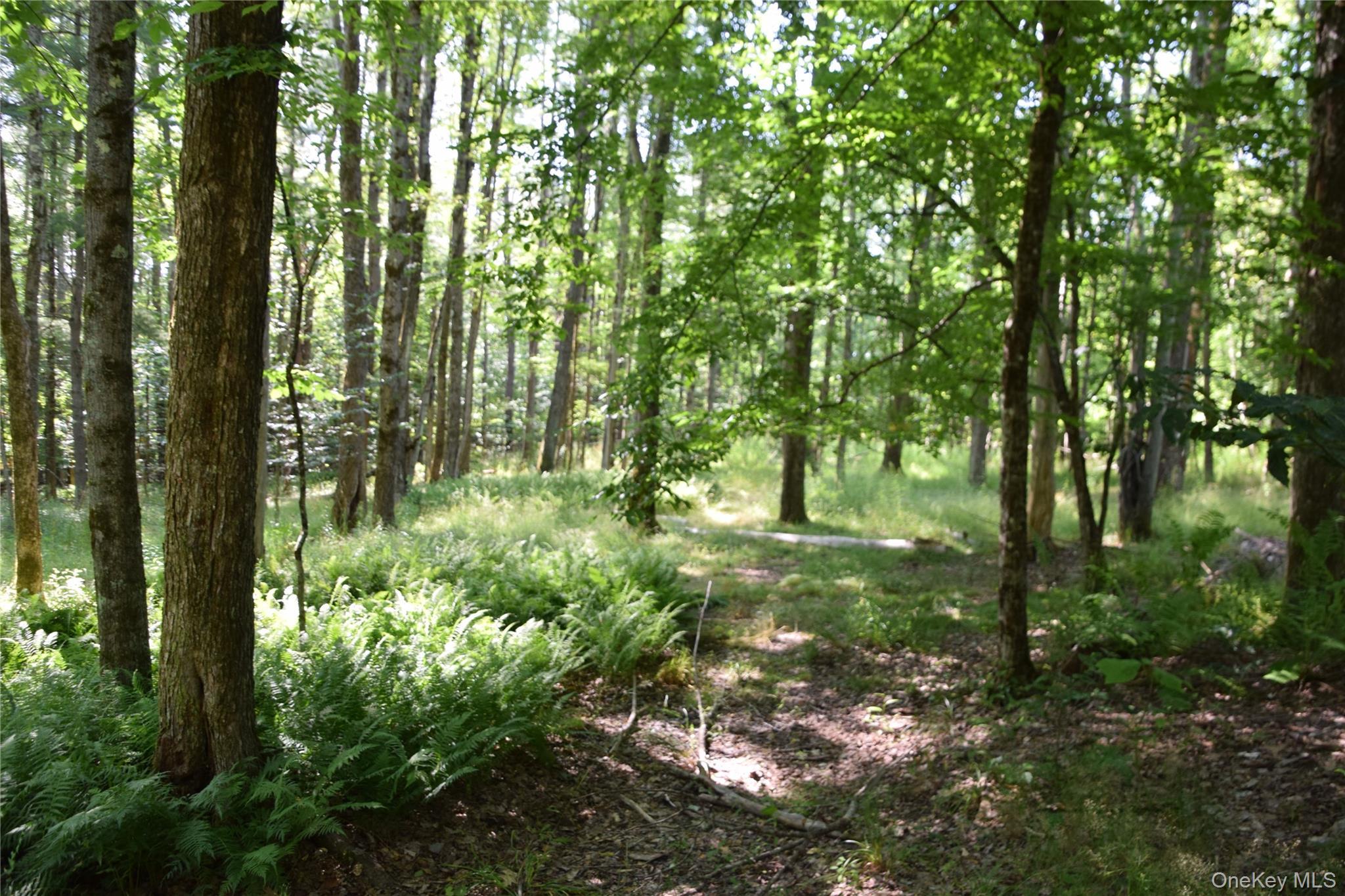 Single Family West Shore Drive Delaware County, NY 13754, MLS-1030776-39
