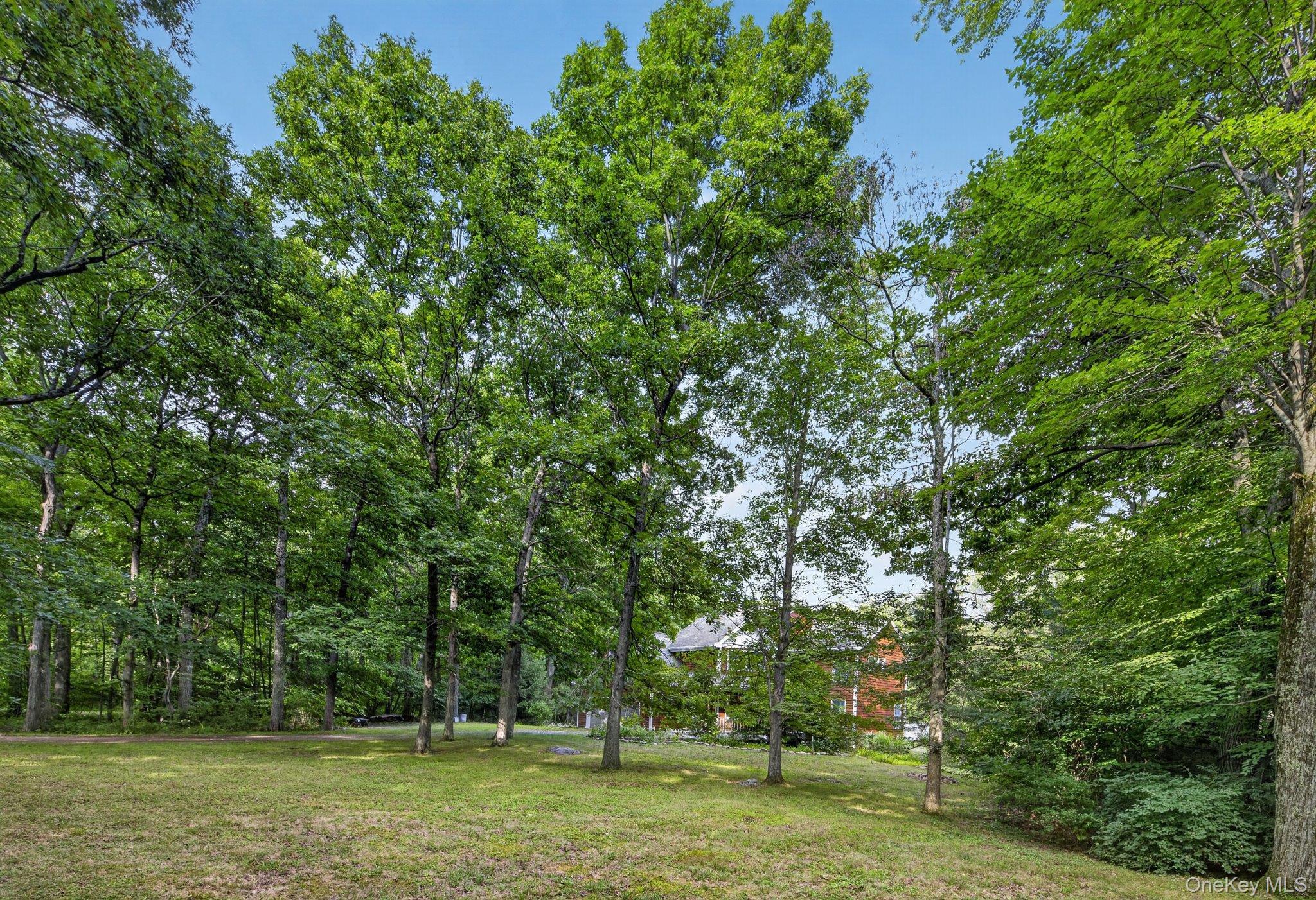Single Family E Mountain Road N  Putnam County, NY 10516, MLS-1030795-4