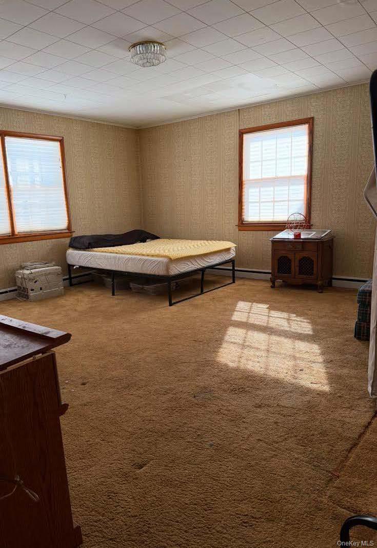 Single Family Allen Street Greene County, NY 12414, MLS-1030799-17