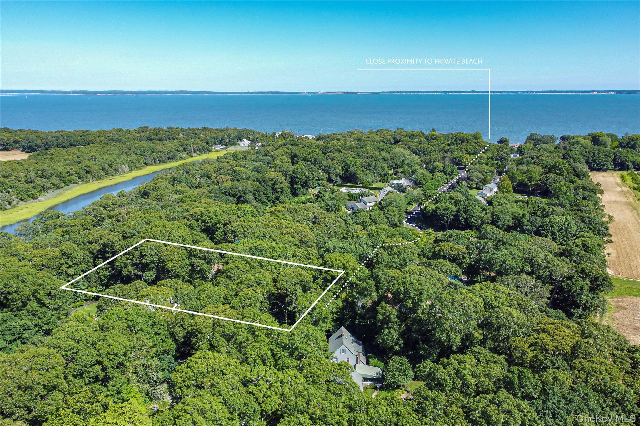 Single Family Laurelwood Drive  Suffolk County, NY 11948, MLS-1030811-18